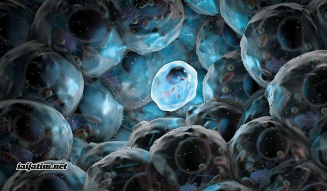 Penemuan Metode Stem Cell: Sejarah dan Perkembangan Terbaru