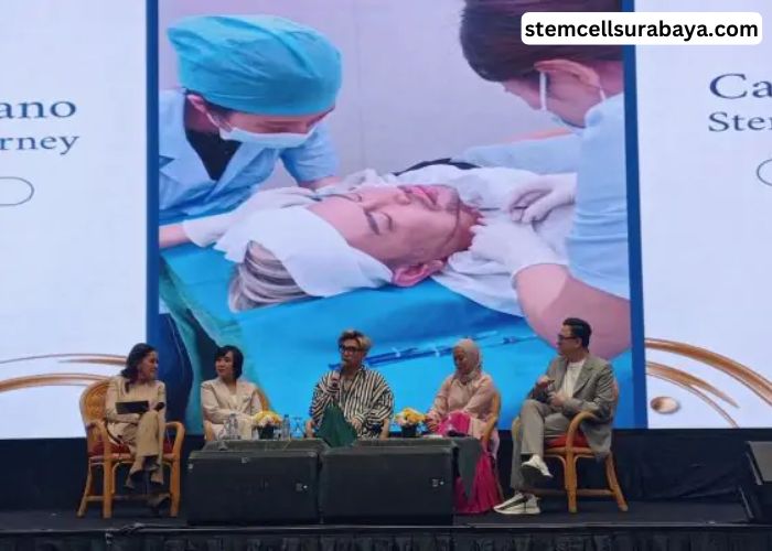 Stem Cell Kanker: Pemahaman dan Potensi Terapi