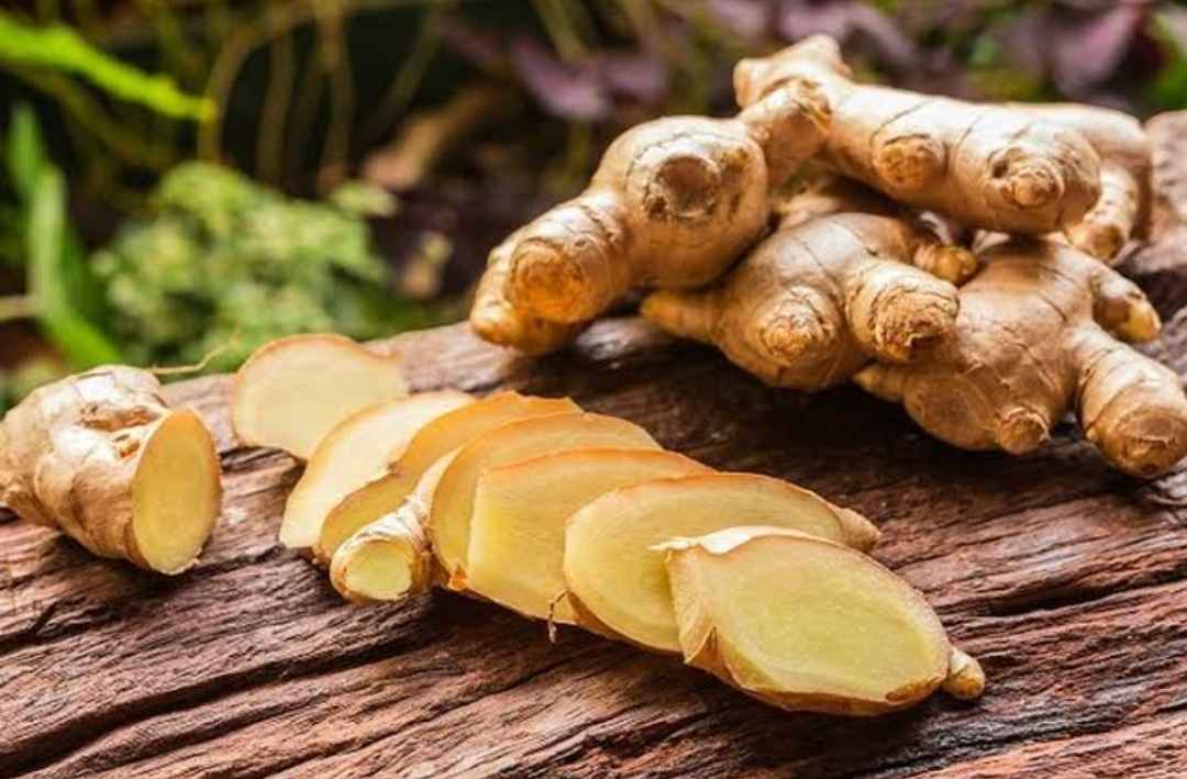 Keajaiban Tanaman Herbal Indonesia dalam Penyembuhan Penyakit Jantung dan Stroke