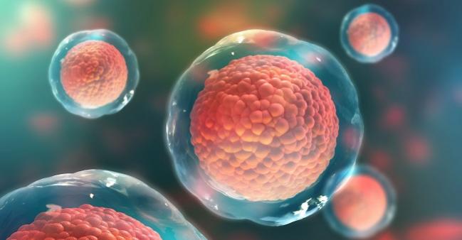 Produk Stem Cell untuk Kesehatan: Manfaat dan Perkembangannya