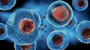 Stem Cell: Inovasi Medis untuk Regenerasi Tubuh Manusia