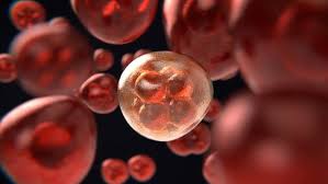 Terobosan Stem Cell: Harapan Baru dalam Dunia Pengobatan Masa Kini