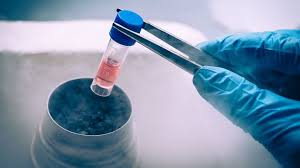Stem Cell: Manfaat, Potensi, dan Perkembangan Terbaru di Dunia Medis