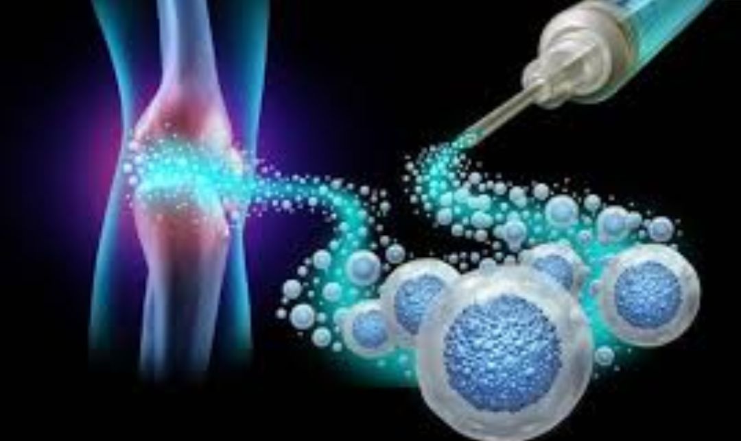 Inovasi Medis Terkini: Terapi Stem Cell dan Masa Depan Perawatan Kesehatan di Indonesia